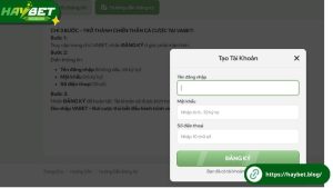 Hướng dẫn newbie cách đăng ký tài khoản HayBet