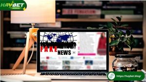 Hệ quả khi trang web giả mạo HayBet