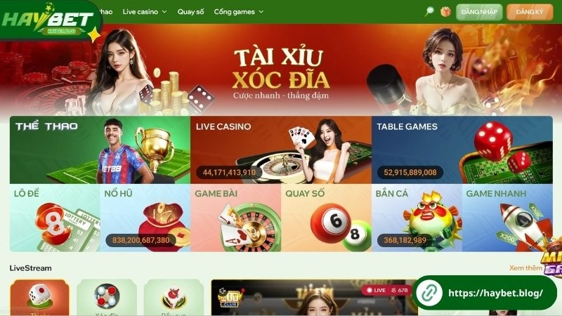 Nhà cái Haybet ra đời như thế nào? Nhà cái Haybet ra đời như thế nào?