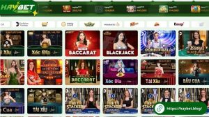 Tìm hiểu tổng quan về hệ thống HayBet