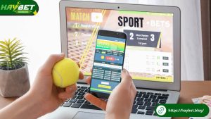 Cách nhận biết kèo thơm cực chuẩn tại Haybet